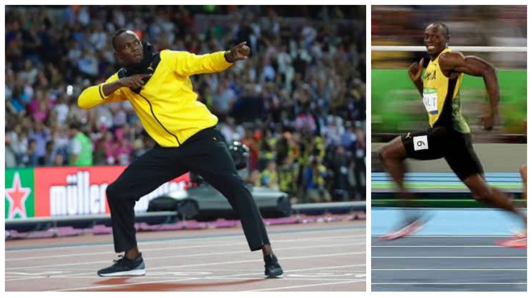 collagemaker_2020825112123533 Bolt