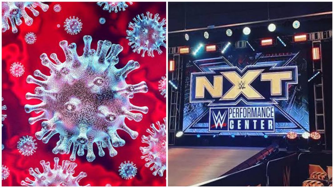 CollageMaker_20200922_104457208 WWE NXT