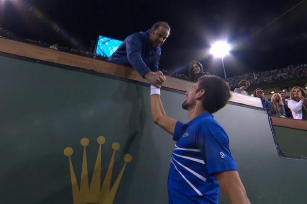 novak1