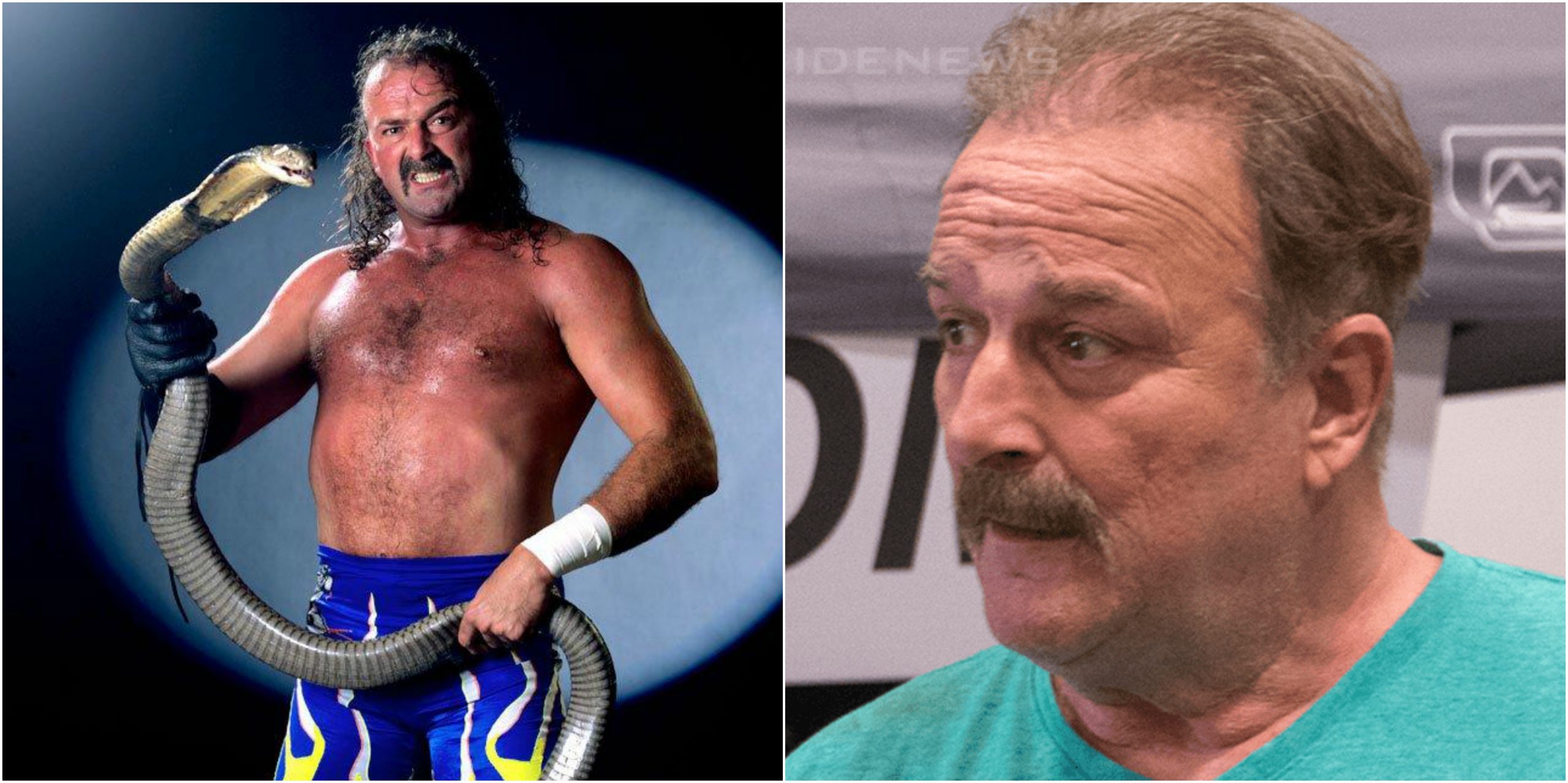 Jake Roberts