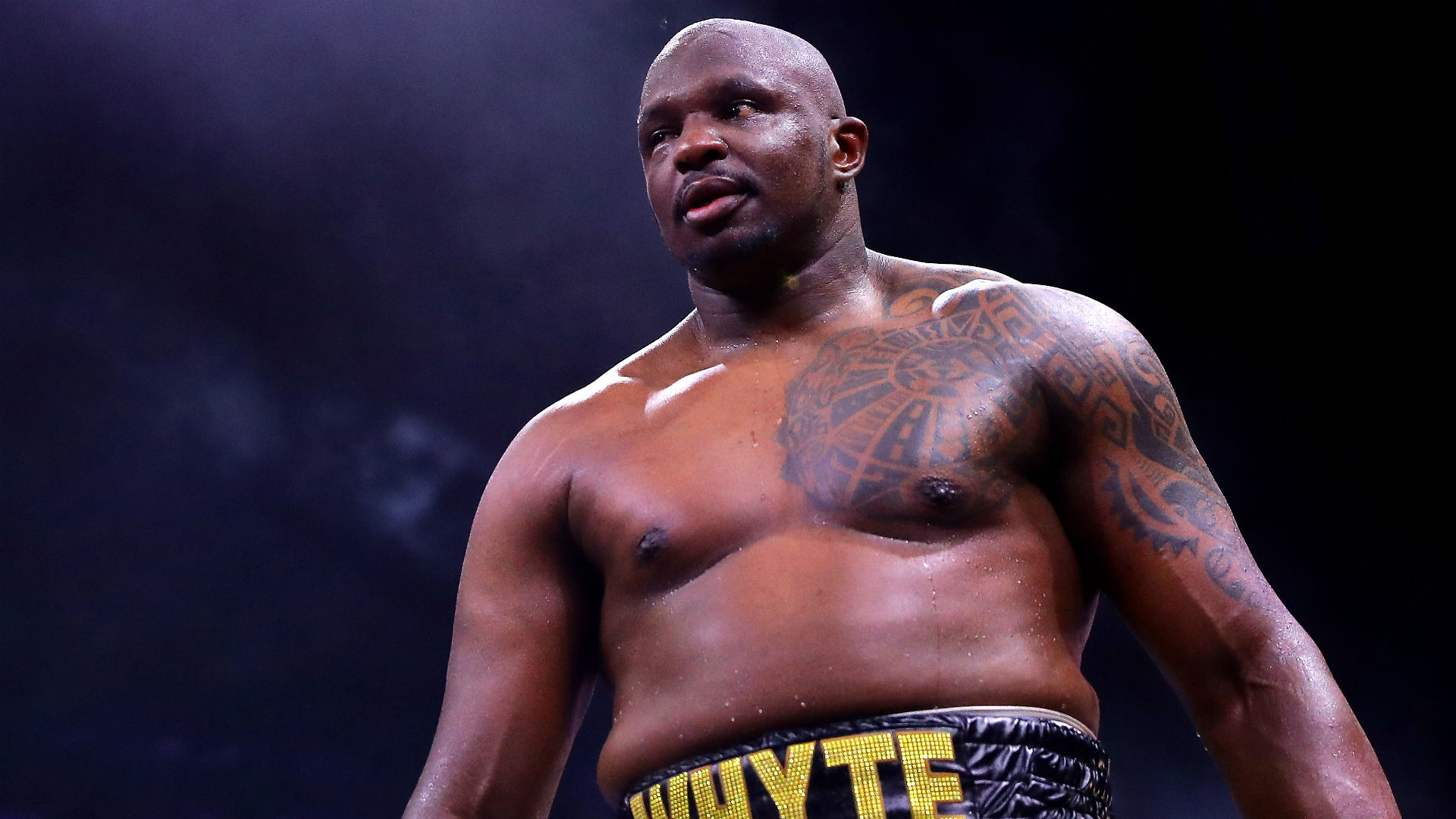 Here's why Dillian Whyte portrays David Haye as the 'biggest bully in boxing' 4 Dillian Whyte