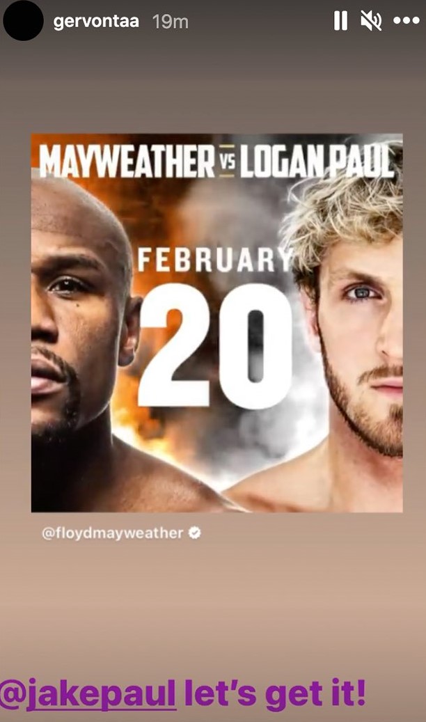 A disgrace to the sport: Boxing fandom rages over Floyd Mayweather-Logan Paul exhibition fight - THE SPORTS ROOM