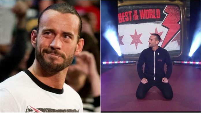 CM Punk