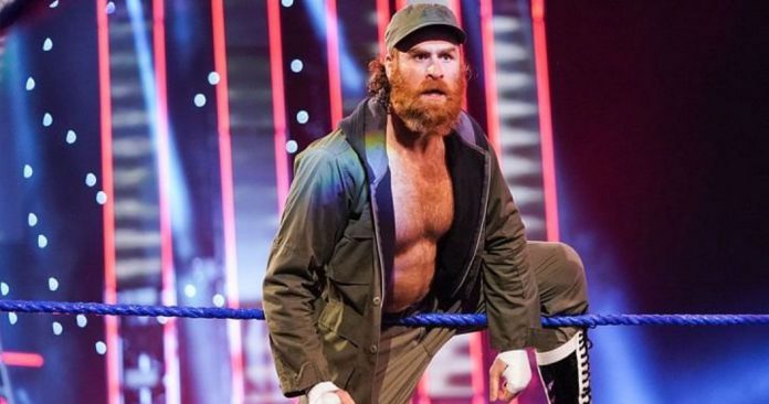 sami zayn