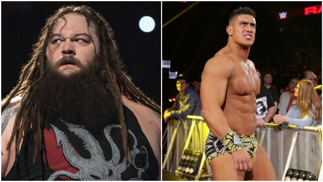 bray wyatt ec3 bray wyatt ec3