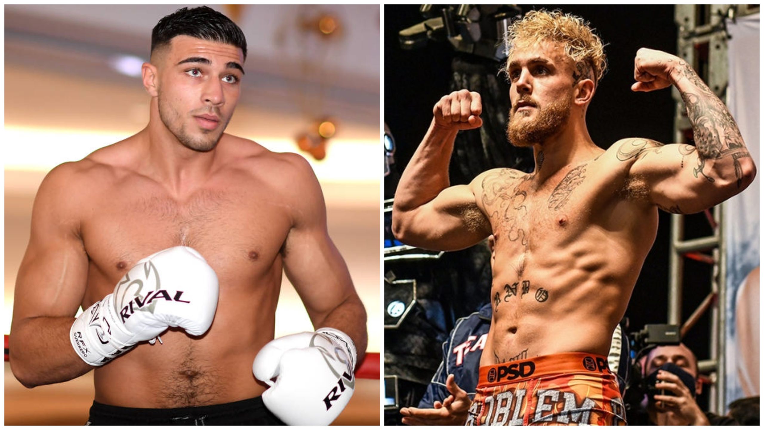 Tommy Fury reflects on the cancelled Jake Paul bout: It was a hard blow to take - THE SPORTS ROOM