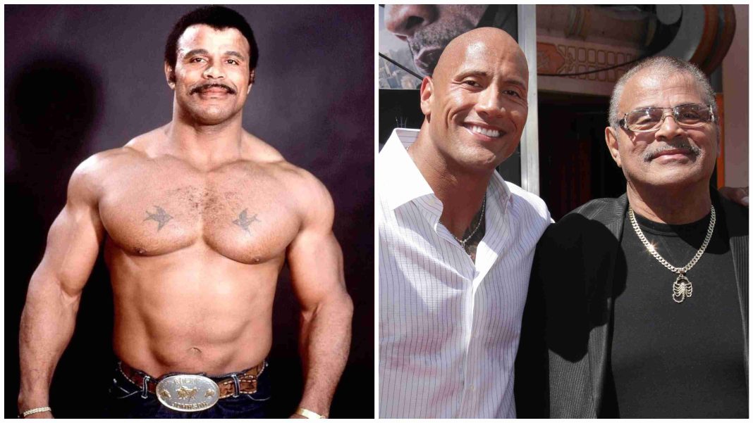 BeFunky-collage (18) Rocky Johnson