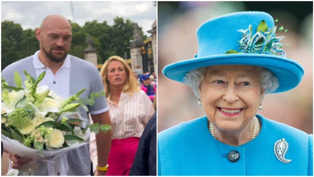 tyson fury the queen tyson fury the queen