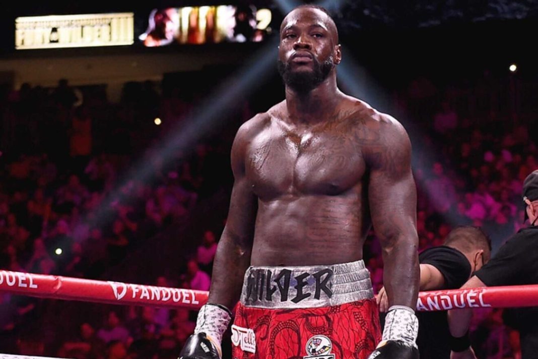 16762459885731 Deontay Wilder