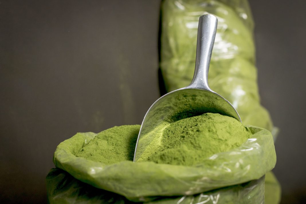 Bali Vs. Maeng Da: Which Kratom Should You Go For In 2023? Bali Vs. Maeng Da: Which Kratom Should You Go For In 2023?