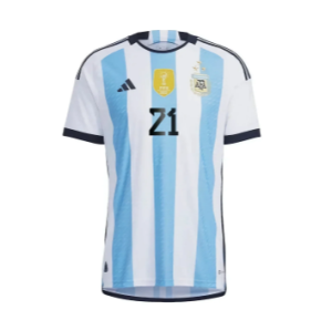 Why the Argentina World Cup Jersey is More than Just a Shirt - THE SPORTS ROOM
