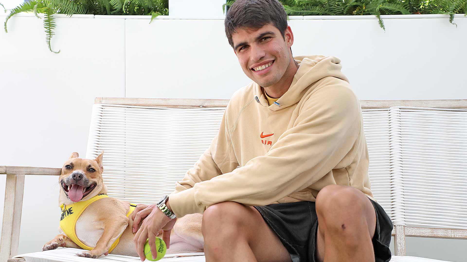 The Heartwarming Mission of ATP Tour and the Humane Society of Greater Miami - THE SPORTS ROOM