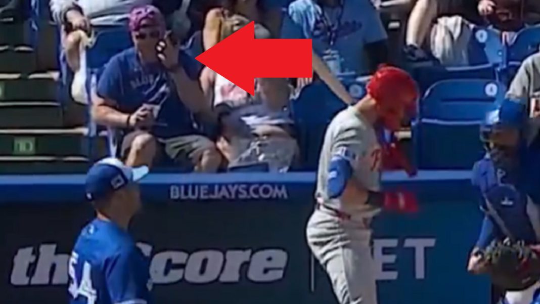 blue-jays-fan